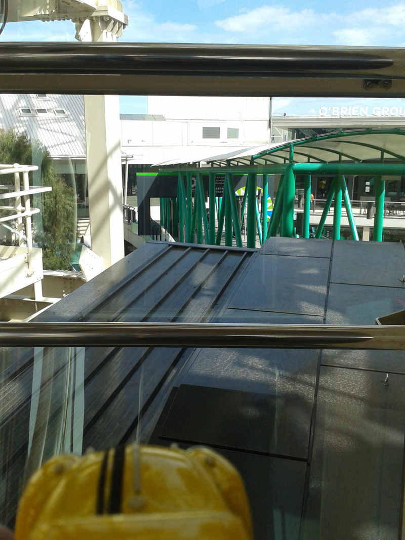 here’s TTB riding the observation wheel at Docklands.